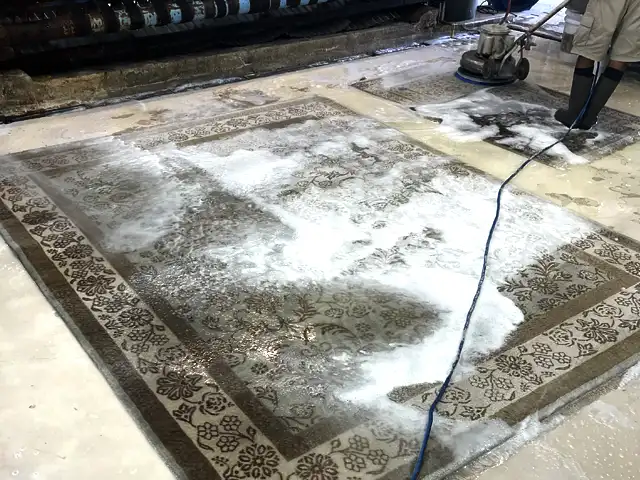 Area Rug Cleaning Service Palm Beach County