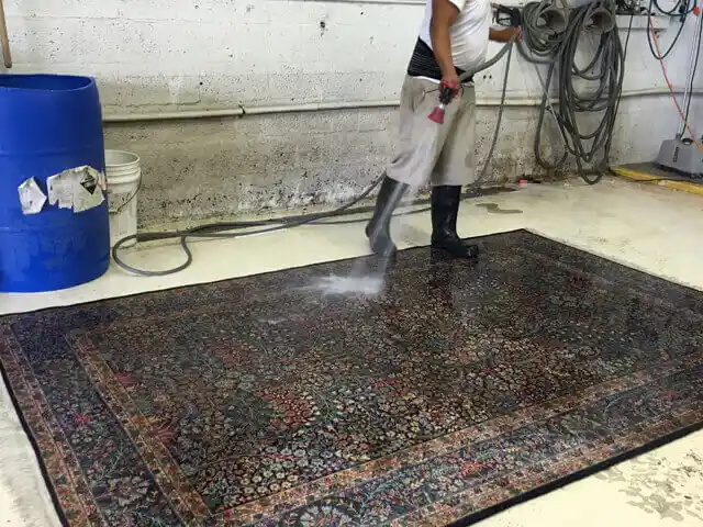 Persian Rug Cleaning Palm Beach County