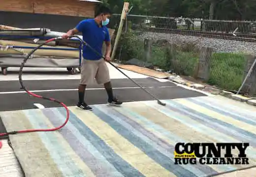Area Rug Dust Cleaning Services
