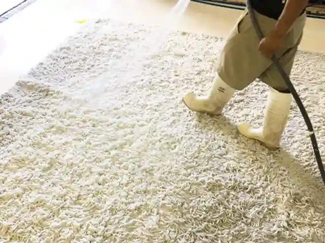 Wool Rug Cleaning Palm Beach County