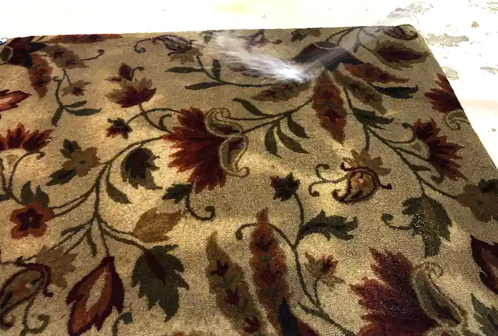 Area Rug Cleaning Services, FL