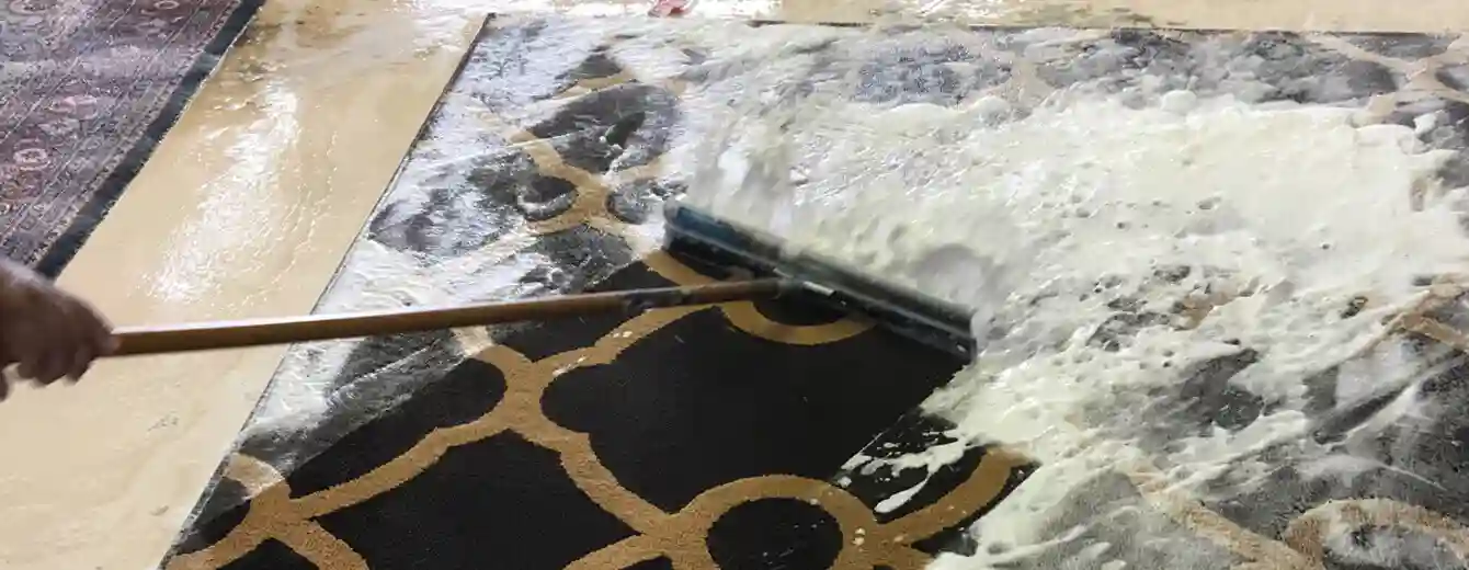 Dry Rug Cleaning Services Palm Beach County