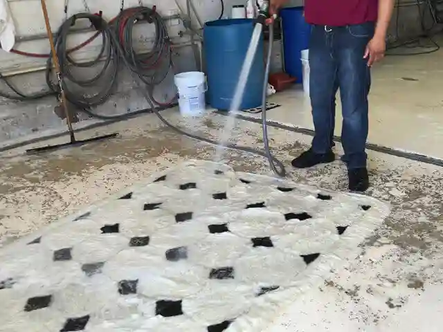 Wool Rug Cleaning Services