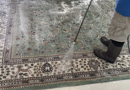 area rug cleaning