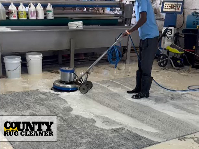 Hand Washing Rug