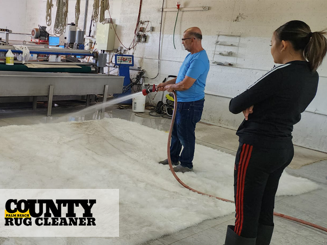 Antique Rug Cleaning