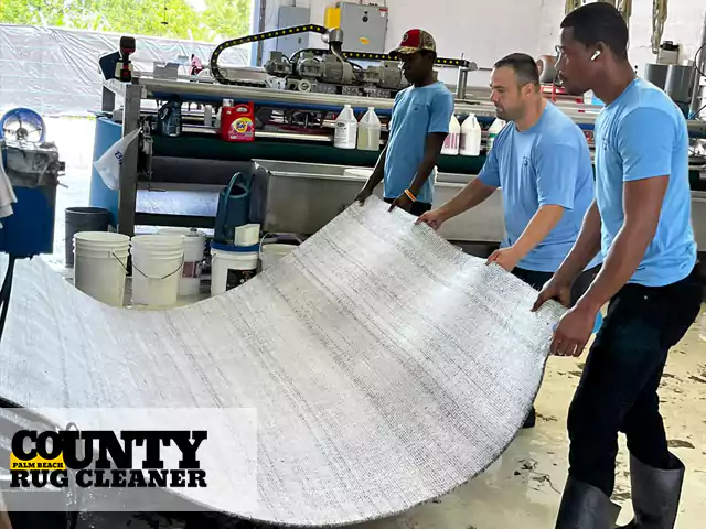 Area Rug Cleaning Service