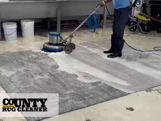 Persian Rug Cleaning Service