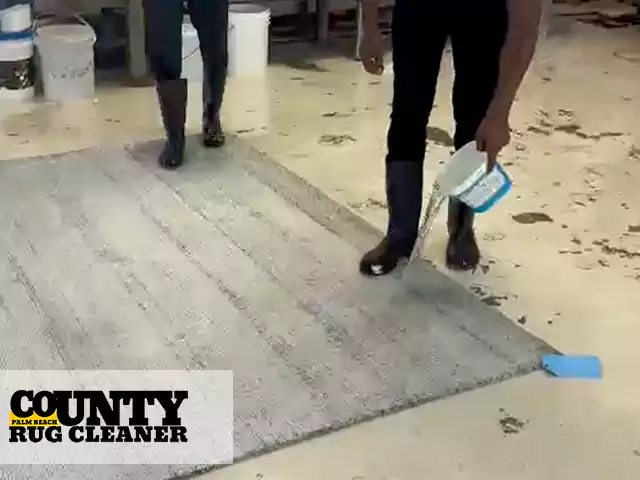 Persian Rug Cleaning