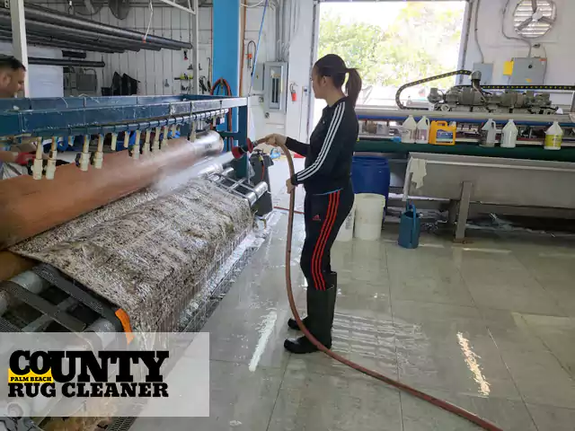 Rug Cleaning Service