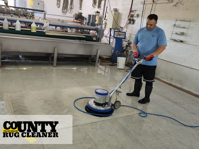 Rug Cleaning Service