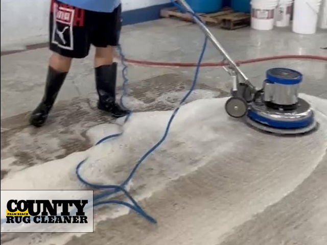 Comprehensive Area Rug Cleaning Service