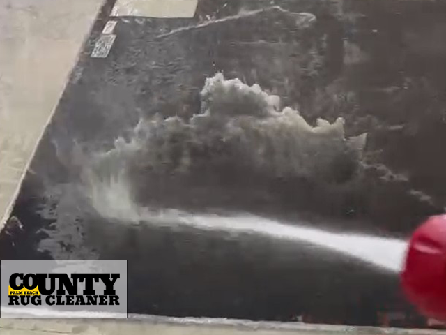 Comprehensive Area Rug Cleaning