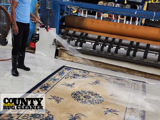 Expert Persian Rug Cleaning