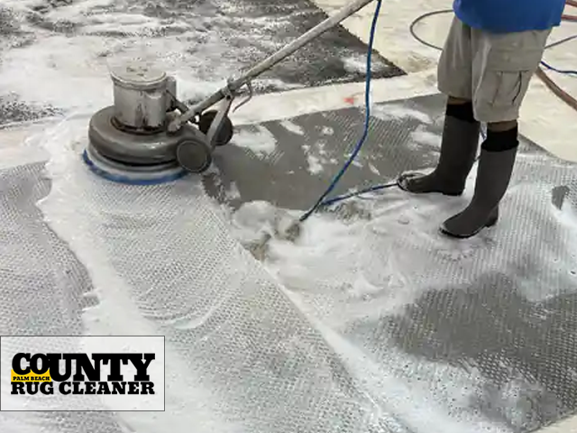 Expert Pet Stain Removal Service