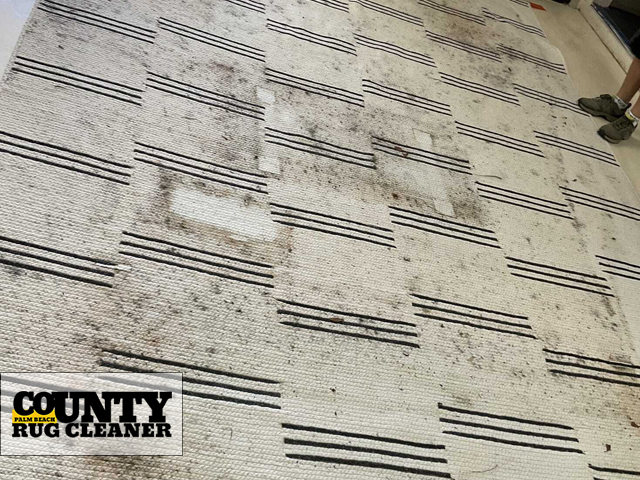 Professional Dry Rug Cleaning