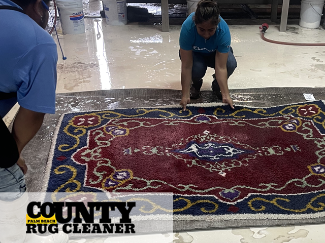 Hand Washing Rug Service