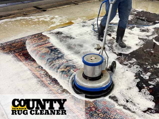 Area Rug Cleaning