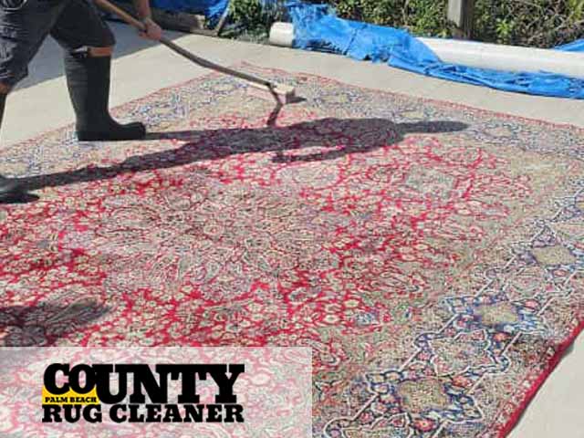 Area Rug Cleaning