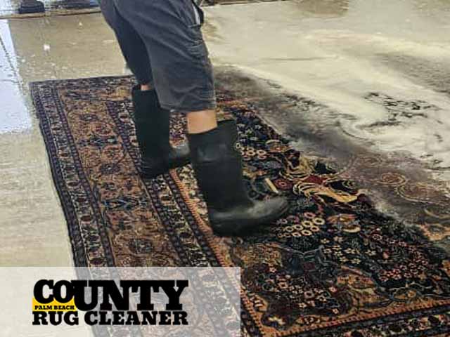 Persian Rug Cleaning