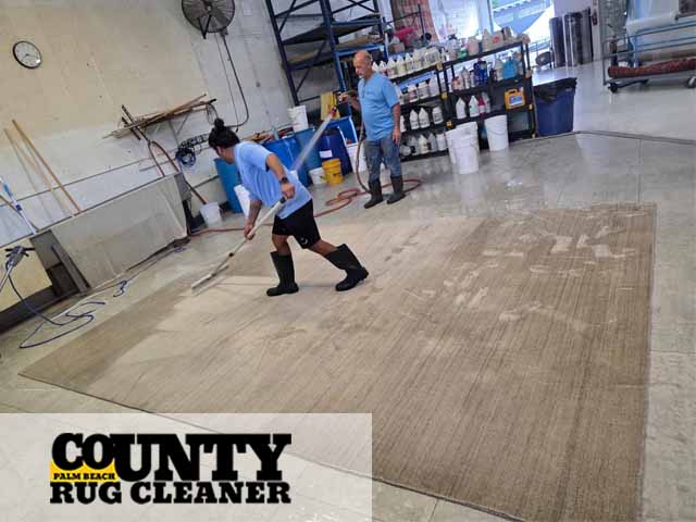 Wool Rug Cleaning
